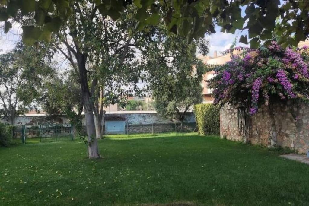 Home Garden Гросето Екстериор снимка